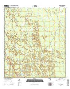 Bronson SW Florida Current topographic map, 1:24000 scale, 7.5 X 7.5 Minute, Year 2015
