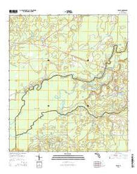 Bruce Florida Current topographic map, 1:24000 scale, 7.5 X 7.5 Minute, Year 2015