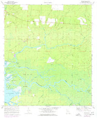 Bunker Florida Historical topographic map, 1:24000 scale, 7.5 X 7.5 Minute, Year 1970