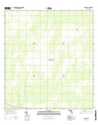 Burns Lake Florida Current topographic map, 1:24000 scale, 7.5 X 7.5 Minute, Year 2015