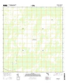 Burns Lake Florida Current topographic map, 1:24000 scale, 7.5 X 7.5 Minute, Year 2015