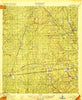 Cambon Florida Historical topographic map, 1:62500 scale, 15 X 15 Minute, Year 1918