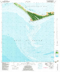 Cape St George Florida Historical topographic map, 1:24000 scale, 7.5 X 7.5 Minute, Year 1982