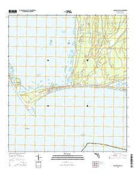 Cape San Blas Florida Current topographic map, 1:24000 scale, 7.5 X 7.5 Minute, Year 2015