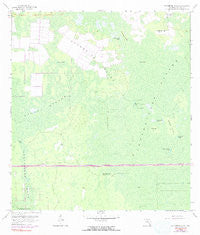Catherine Island Florida Historical topographic map, 1:24000 scale, 7.5 X 7.5 Minute, Year 1962