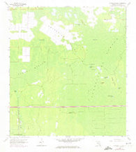 Catherine Island Florida Historical topographic map, 1:24000 scale, 7.5 X 7.5 Minute, Year 1958