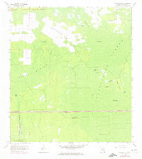 Catherine Island Florida Historical topographic map, 1:24000 scale, 7.5 X 7.5 Minute, Year 1958