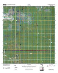 Catherine Island Florida Historical topographic map, 1:24000 scale, 7.5 X 7.5 Minute, Year 2012