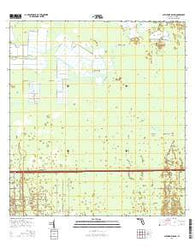 Catherine Island Florida Current topographic map, 1:24000 scale, 7.5 X 7.5 Minute, Year 2015