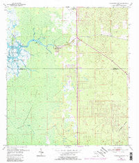 Chassahowitzka Florida Historical topographic map, 1:24000 scale, 7.5 X 7.5 Minute, Year 1954