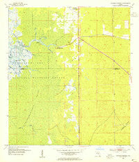 Chassahowitzka Florida Historical topographic map, 1:24000 scale, 7.5 X 7.5 Minute, Year 1954