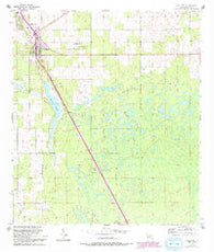 Chiefland Florida Historical topographic map, 1:24000 scale, 7.5 X 7.5 Minute, Year 1954