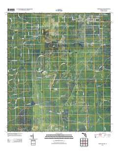 Chiefland SW Florida Historical topographic map, 1:24000 scale, 7.5 X 7.5 Minute, Year 2012