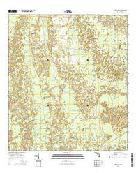 Chiefland SW Florida Current topographic map, 1:24000 scale, 7.5 X 7.5 Minute, Year 2015