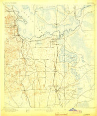 Citra Florida Historical topographic map, 1:62500 scale, 15 X 15 Minute, Year 1895