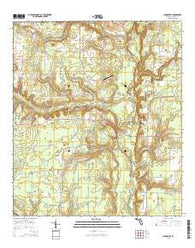 Clarksville Florida Current topographic map, 1:24000 scale, 7.5 X 7.5 Minute, Year 2015