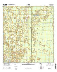 Clay Sink Florida Current topographic map, 1:24000 scale, 7.5 X 7.5 Minute, Year 2015