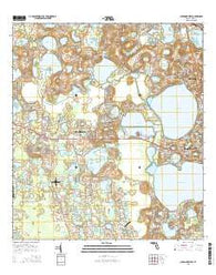 Clermont West Florida Current topographic map, 1:24000 scale, 7.5 X 7.5 Minute, Year 2015