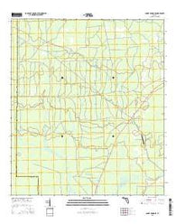 Cooks Hammock Florida Current topographic map, 1:24000 scale, 7.5 X 7.5 Minute, Year 2015