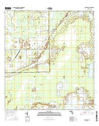 Corkscrew Florida Current topographic map, 1:24000 scale, 7.5 X 7.5 Minute, Year 2015