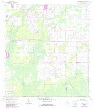 Corkscrew NW Florida Historical topographic map, 1:24000 scale, 7.5 X 7.5 Minute, Year 1958