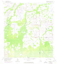 Corkscrew NW Florida Historical topographic map, 1:24000 scale, 7.5 X 7.5 Minute, Year 1958
