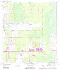 Corkscrew SW Florida Historical topographic map, 1:24000 scale, 7.5 X 7.5 Minute, Year 1958
