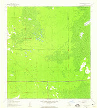 Corkscrew SW Florida Historical topographic map, 1:24000 scale, 7.5 X 7.5 Minute, Year 1958