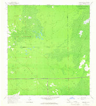 Corkscrew SW Florida Historical topographic map, 1:24000 scale, 7.5 X 7.5 Minute, Year 1958
