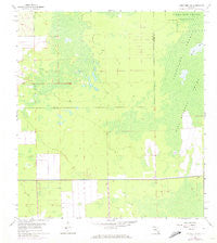 Corkscrew SW Florida Historical topographic map, 1:24000 scale, 7.5 X 7.5 Minute, Year 1958