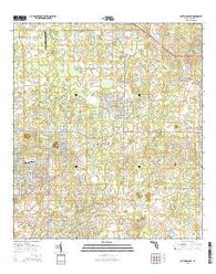 Cotton Plant Florida Current topographic map, 1:24000 scale, 7.5 X 7.5 Minute, Year 2015