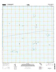 Cottrell Key Florida Current topographic map, 1:24000 scale, 7.5 X 7.5 Minute, Year 2015