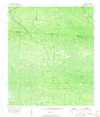 Council Georgia Historical topographic map, 1:24000 scale, 7.5 X 7.5 Minute, Year 1955