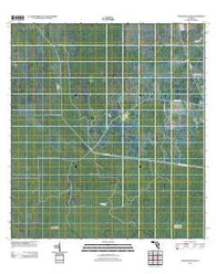 Cow Bone Island Florida Historical topographic map, 1:24000 scale, 7.5 X 7.5 Minute, Year 2012