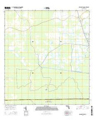 Cow Bone Island Florida Current topographic map, 1:24000 scale, 7.5 X 7.5 Minute, Year 2015