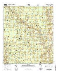Crawfordville West Florida Current topographic map, 1:24000 scale, 7.5 X 7.5 Minute, Year 2015