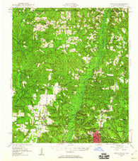 Crestview Florida Historical topographic map, 1:62500 scale, 15 X 15 Minute, Year 1949