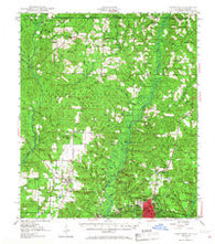 Crestview Florida Historical topographic map, 1:62500 scale, 15 X 15 Minute, Year 1949