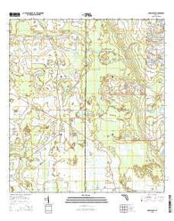 Crewsville Florida Current topographic map, 1:24000 scale, 7.5 X 7.5 Minute, Year 2015