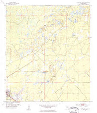 Cross City East Florida Historical topographic map, 1:24000 scale, 7.5 X 7.5 Minute, Year 1954