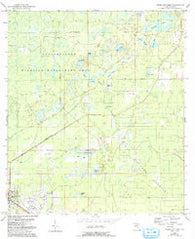 Cross City East Florida Historical topographic map, 1:24000 scale, 7.5 X 7.5 Minute, Year 1954