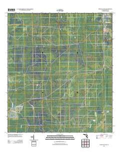 Cross City SW Florida Historical topographic map, 1:24000 scale, 7.5 X 7.5 Minute, Year 2012