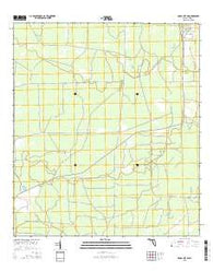 Cross City SW Florida Current topographic map, 1:24000 scale, 7.5 X 7.5 Minute, Year 2015