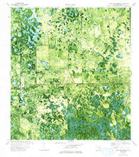 Crows Nest Hammock Florida Historical topographic map, 1:24000 scale, 7.5 X 7.5 Minute, Year 1974