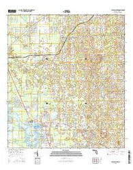 Crystal River Florida Current topographic map, 1:24000 scale, 7.5 X 7.5 Minute, Year 2015