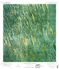 Custard Apple Hammock Florida Historical topographic map, 1:24000 scale, 7.5 X 7.5 Minute, Year 1973