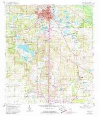 Dade City Florida Historical topographic map, 1:24000 scale, 7.5 X 7.5 Minute, Year 1960