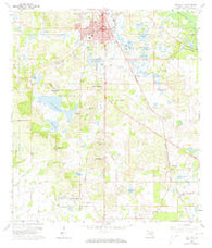 Dade City Florida Historical topographic map, 1:24000 scale, 7.5 X 7.5 Minute, Year 1960