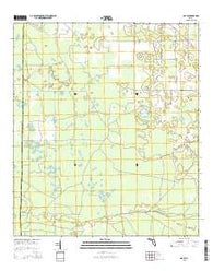Day SE Florida Current topographic map, 1:24000 scale, 7.5 X 7.5 Minute, Year 2015