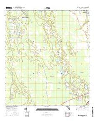 Daytona Beach NW Florida Current topographic map, 1:24000 scale, 7.5 X 7.5 Minute, Year 2015